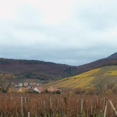 Apartment Route Du Vin Centre Alsace Orschwiller Værelse billede