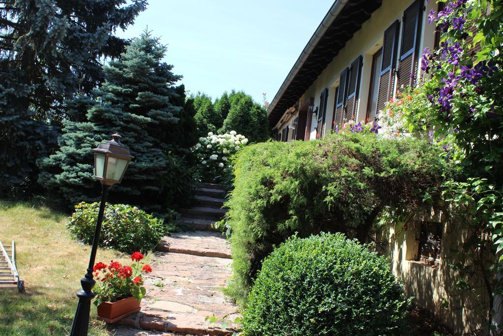 Apartment Route Du Vin Centre Alsace Orschwiller Værelse billede