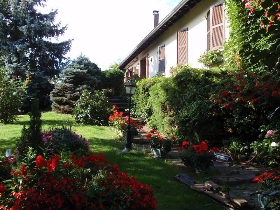 Apartment Route Du Vin Centre Alsace Orschwiller Værelse billede